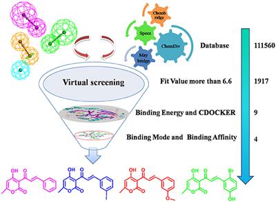 Combination of Virtual Screening Protocol by in Silico toward the Discovery of Novel 4-Hydroxyphenylpyruvate Dioxygenase Inhibitors